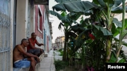 José Fleites y su vecino Roberto Aranda conversan en la puerta de una casa frente a una planta de banano que crece en una calle de La Habana Foto: REUTERS/Norlys Pérez